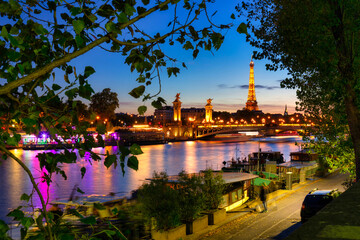 Die Brücke Pont Alexandre III in Paris an der Seine bei Nacht. Frankreich
