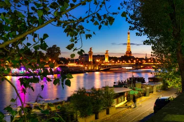 Foto op Plexiglas Pont Alexandre III De Pont Alexandre III-brug in Parijs door de rivier de Seine & 39 s nachts. Frankrijk