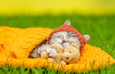 Cute kitten wearing warm hat hugs favorite toy bear and sleeps on plaid on green summer grass