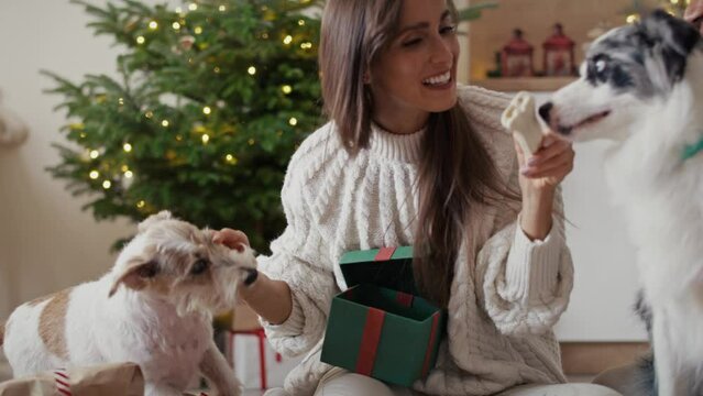 Cheerful caucasian female dog owner opening Christmas present for her pupil. Shot with RED helium camera in 8K. 