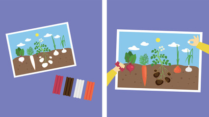 Obraz premium Application with vegetables from plasticine, illustration