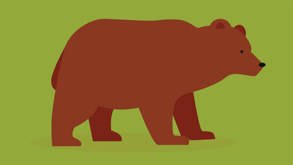 brown bear on a green background