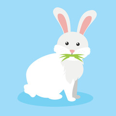 white bunny with grass in its mouth