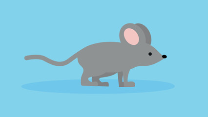 gray mouse on a blue background