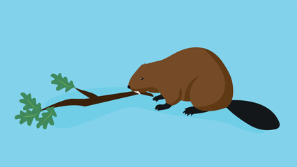 Beaver gnaws on a tree branch, illustration