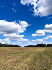 Obraz premium Late summer landscape with empty field and blue sky.