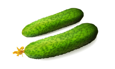 Green cucumber fresh on white background. Healthy farm healthy food. Green natural background. Healthy vegetarian food, healthy lifestyle. Top view. Healthy eating. Vector background.