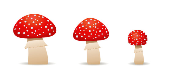 Set mushrooms toadstool cute. Inedible mushrooms. fly agaric,