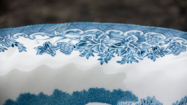 Platos de porcelana blanca con adornos vegetales azules