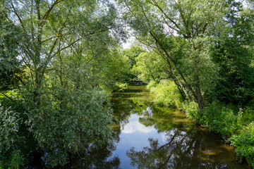 Diemel in summer. River with surrounding green nature.

