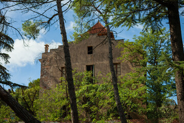 abandoned old house in the forest