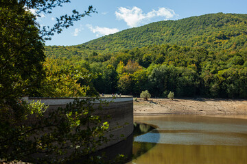 Fototapeta premium bridge over the lake in the forest