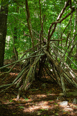 Fototapeta premium cabin in the woods made with sticks