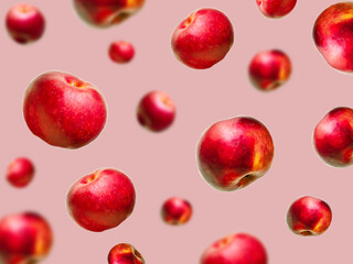 Flying levitating floating red ripe fresh juicy apples in air on red,pink background. Levity summer...