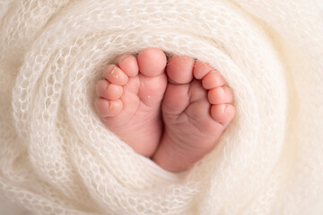 The tiny foot of a newborn. Soft feet of a newborn in a white woolen blanket. Close up of toes, heels and feet of a newborn baby. Studio Macro photography. Woman's happiness.