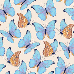 Vector pattern with high detailed tropic butterfly
