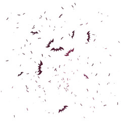 Flying halloween bats splatter, spooky bat silhouette splatter, perfect for halloween design asset, halloween custom brush, elements, halloween elements.