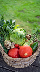 frisches Gemüse im Korb