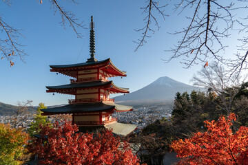 Obraz premium View of Mount Fuji from the viewpoint of Chureito Pagoda.Chureito Pagoda was built on the mountainside of Fujiyoshida City as a peace memorial