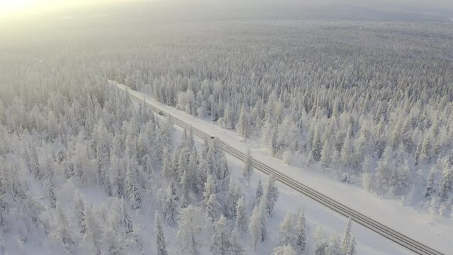 High up aerial view of cars driving on winter road surrounded by white snowy forest.