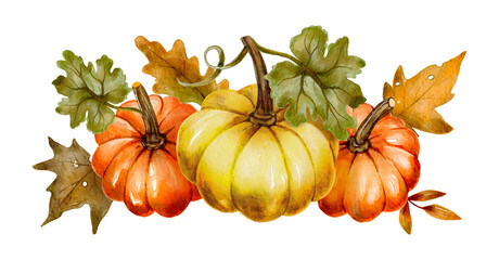 Watercolor pumpkin autumn thanksgiving fall holiday design. Floral composition orange plant card