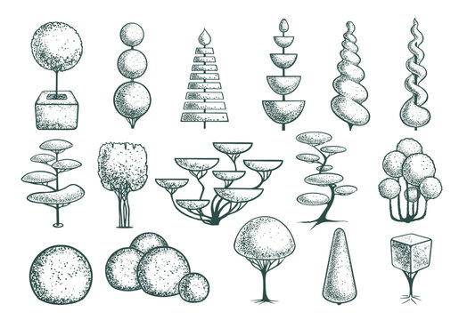 Seth sketch topiary tree shapes. Geometric trees for advertising and landscape design. Isolated on white background. Vector.