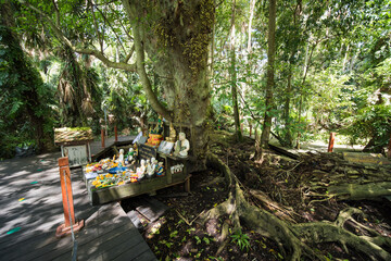 Wat Kham Chanot in the province udon thani, isaan thailand.
it is a beautiful and popular buddhist temple in udon thnai region.