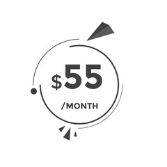 55 dollar price tag. 55$ dollar USD price symbol. price 55 Dollar sale banner in USD. Business or shopping promotion marketing concept
