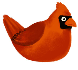 Angry bird real red Cardinal songbird cartoon chalk drawing illustration