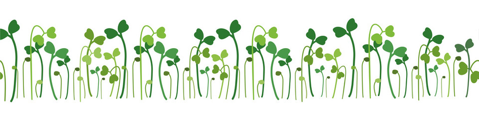 Microgreen young shoots pattern on transparent background. Vector illustration. - 533634156