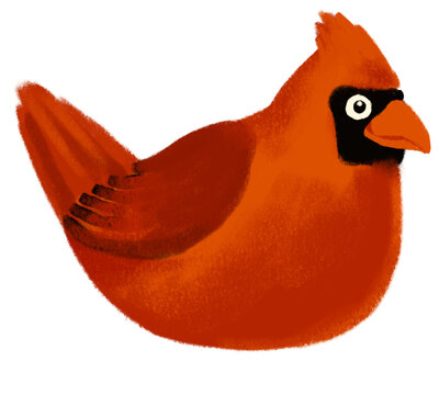 392 Cartoon Cardinal Stock Photos, High-Res Pictures, and Images