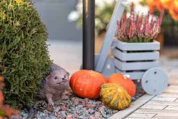 Bright little pumpkins at the front door. Near the pumpkins there is a garden figure of a hedgehog.