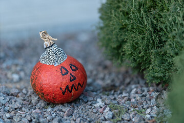  small orange pumpkin decorated for Halloween. a face was drawn and a black and white cap was made