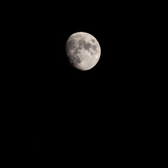 Moon Timelapse, Stock time lapse : Full moon rise in dark nature sky, night time. Full moon disk...