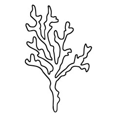 Coral branch.Black outline drawing, vector, isolated on white background. Element of the sea.