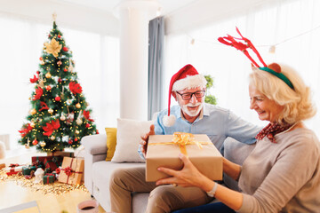 Fototapeta premium Senior couple exchanging Christmas presents