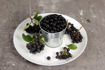 Fototapeta na wymiar Chokeberry with green leaves on white plate, blue board background. Black aronia