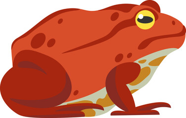 Exotic Frog Reptile Amphibian illustration