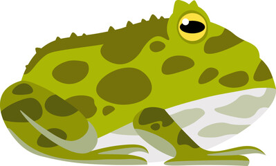 Exotic Frog Reptile Amphibian illustration