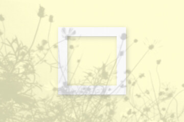 Natural light casts shadows from wildflowers on square frame of white textured paper lying on a yellow facture background. Mock up with an overlay of plant shadows