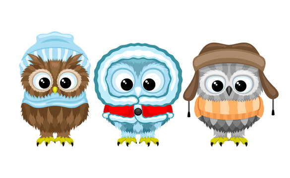 Three owls in winter clothes on a white background.