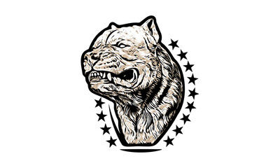 American pit bull vector illustration