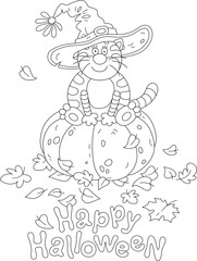 Happy Halloween card with a funny fat cat in a holiday witch hat sitting on a large ripe pumpkin among fallen autumn leaves, black and white outline vector cartoon illustration