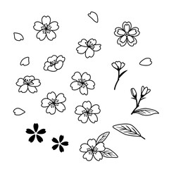 Cherry blossom flower outline illustration set