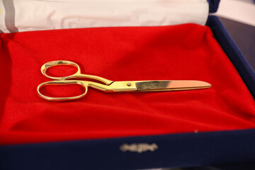 Scissors for cutting ribbon lie on a red pillow.