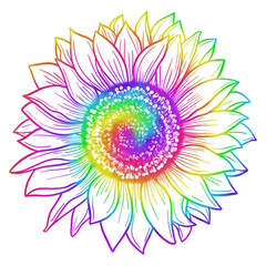 Sunflower Colorful Outline Hand Drawn Illustration