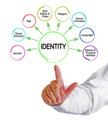 Presenting Eight facets of Identity