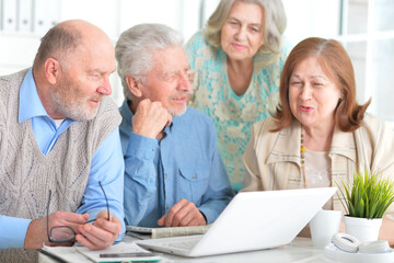 Fototapeta na wymiar Portrait of elderly people working together in with laptop