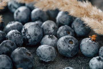Wet ripe blueberries close up, macro shot.