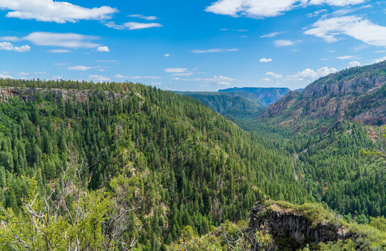 Panoramic view of the beautiful landscapes in Coconino National Forest, Arizona, USA